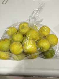 手作りポン酢のレシピ公開！柚子（ゆず）の収穫とゆずしぼり！