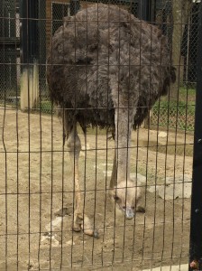 0125bbe87ab8dd8ab5d950c4693b1dff88f8a1846f