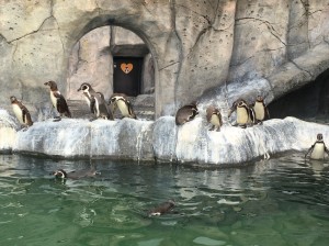 014882a952a8d7dc1d019225cbc72e09652342cda5