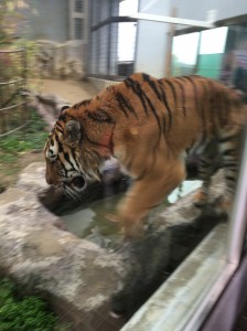 01519519034fd02496ef8192967defea778301d189