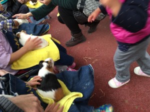 015734a002e7a30b59dccc8b268ffb62240c0c6387