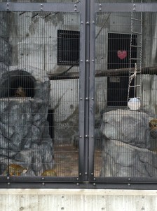 018414b67f7b21993c7a5c3bf089ea756af30bfa4a