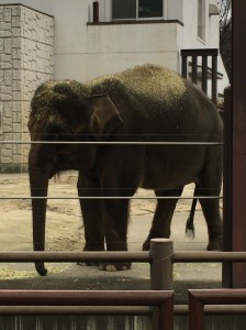 0189c21f4697fc42975ff4fdb217c35ce9f9947544