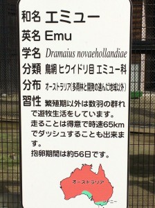 01a2c662aac346cb721f96185a53338b327034e92f