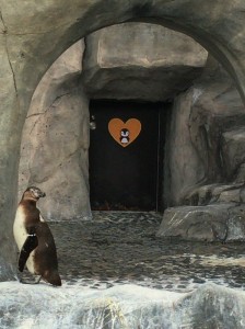 01ad5795ce9370494019849acb4199fb88cc787cee