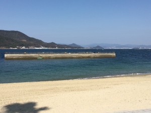 011ec42cdcd35dc3098bdd7e9165fc0f6ff77bf6c2