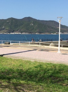 0149f420869bd592add75b39e0884419920b633169