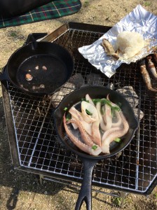 018e94b466f9c6c429097b34781a1367b7cacc6faa