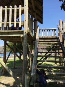 01ec4a4e0fa79c9b99592688ca7ed4021a4dd70e2a