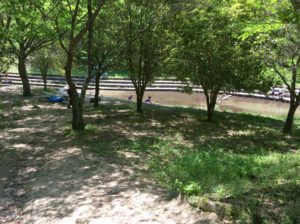 013630afd4741448dad83ca33baf931376182d816f